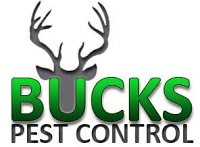 Bucks Pest Control 377170 Image 9